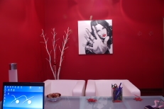 Il quadro di Asia Argento, opera di Giuditta Solito di Milano.